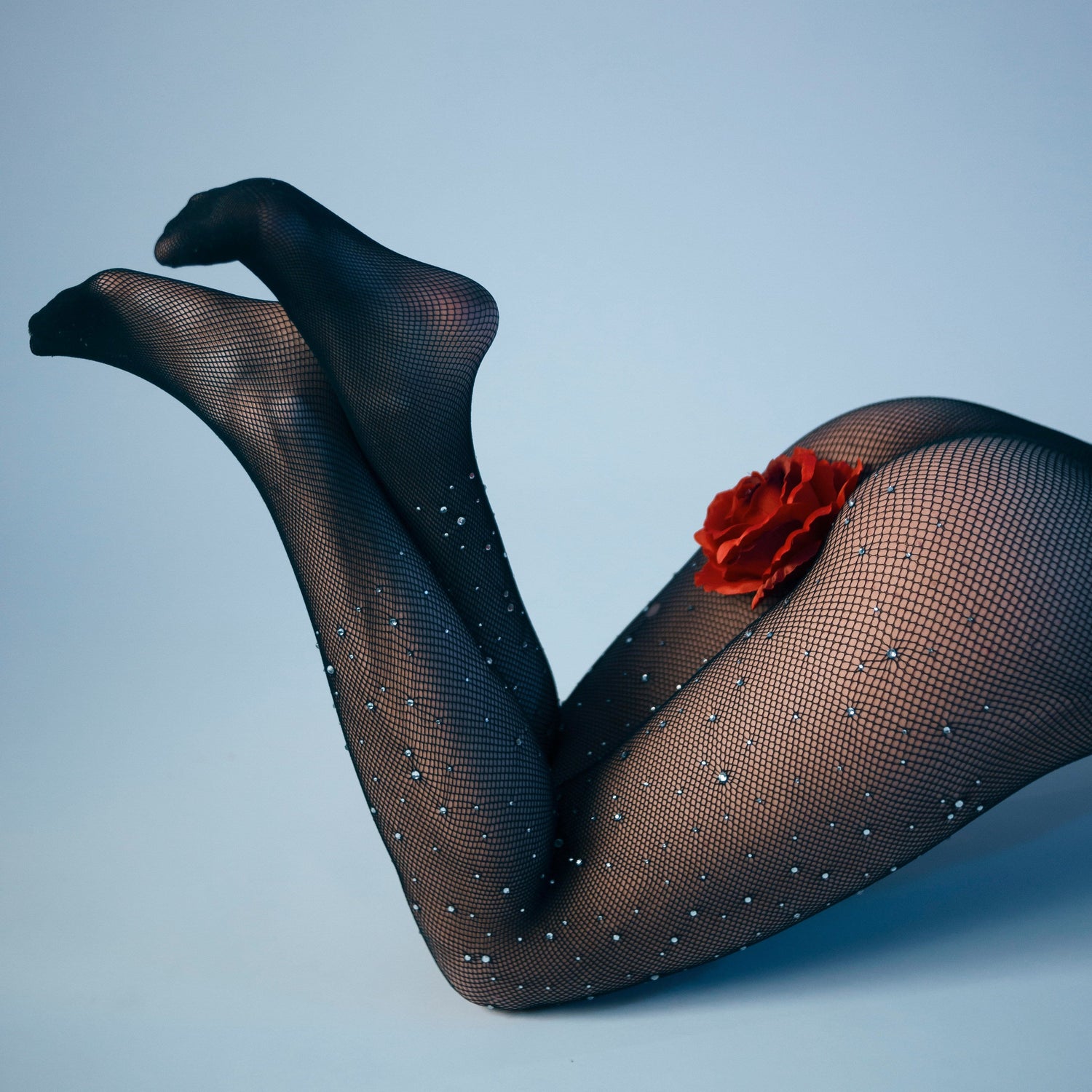 Fishnet